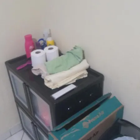 Little Apt-2